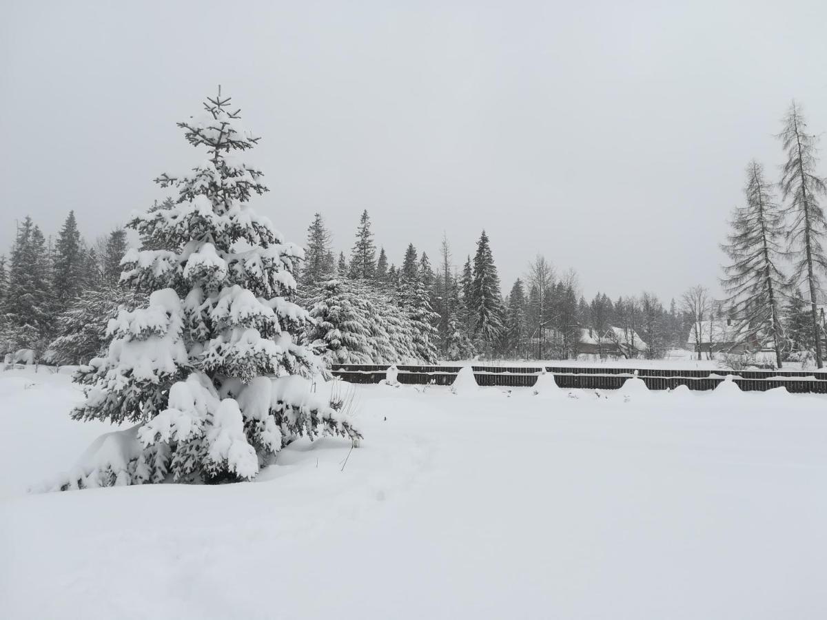 Apartament Nad Stawem Zakopane Eksteriør bilde