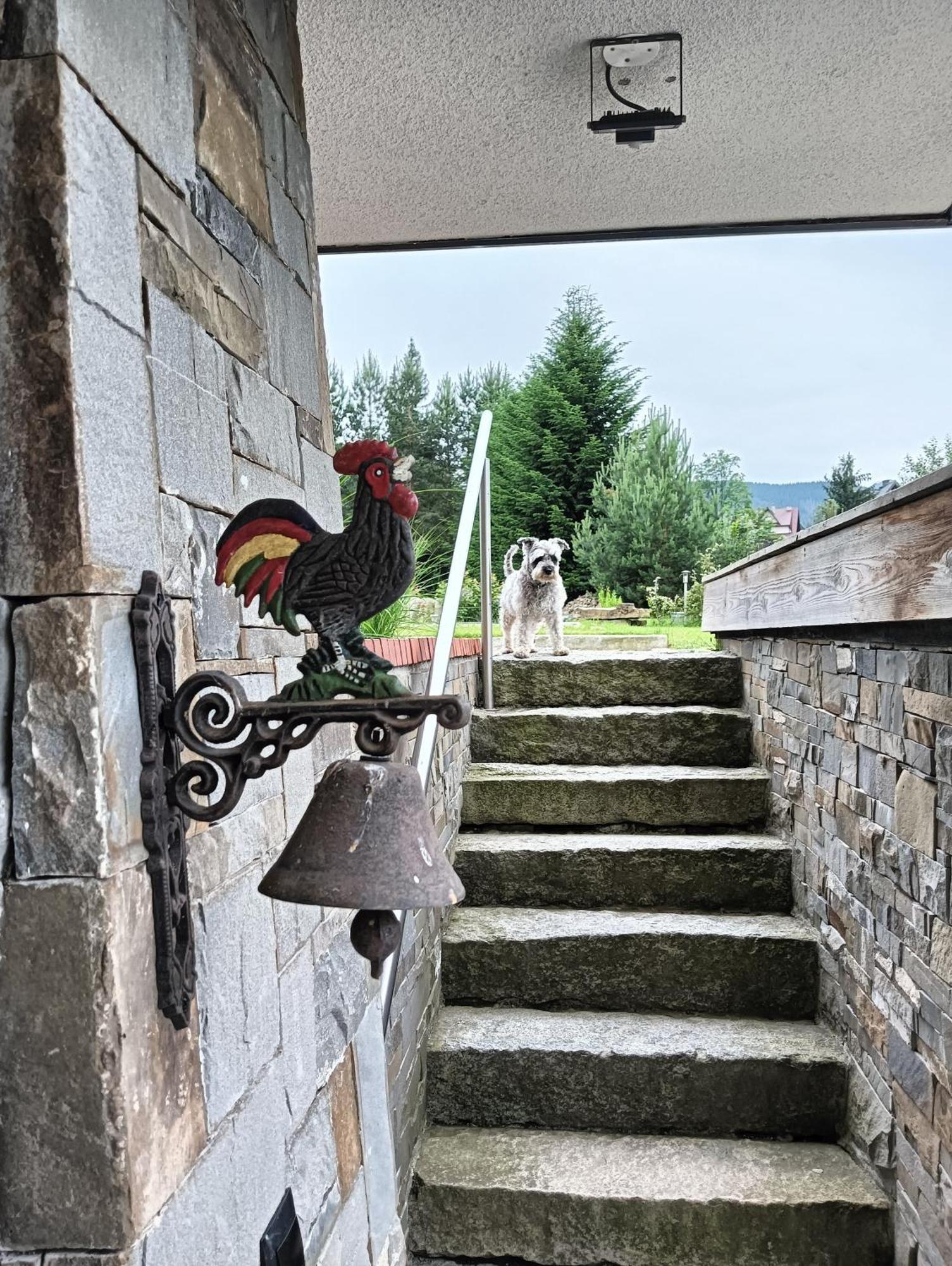Apartament Nad Stawem Zakopane Eksteriør bilde